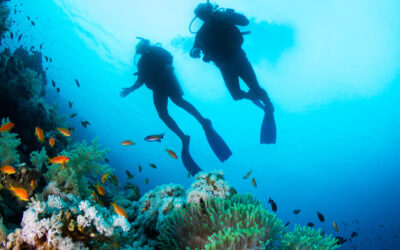 Dive In: Why Now Is the Time to Get Scuba Certified
