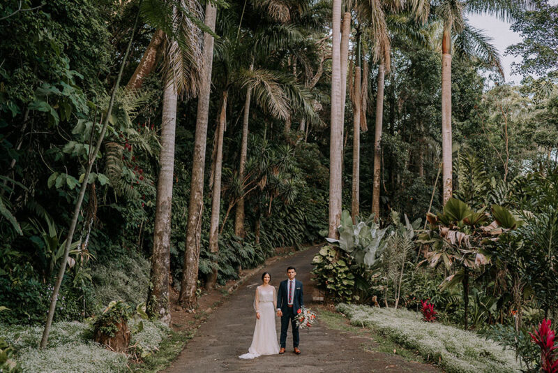 wedding couple in tropical forest