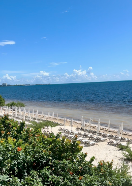 Beach in Cancun