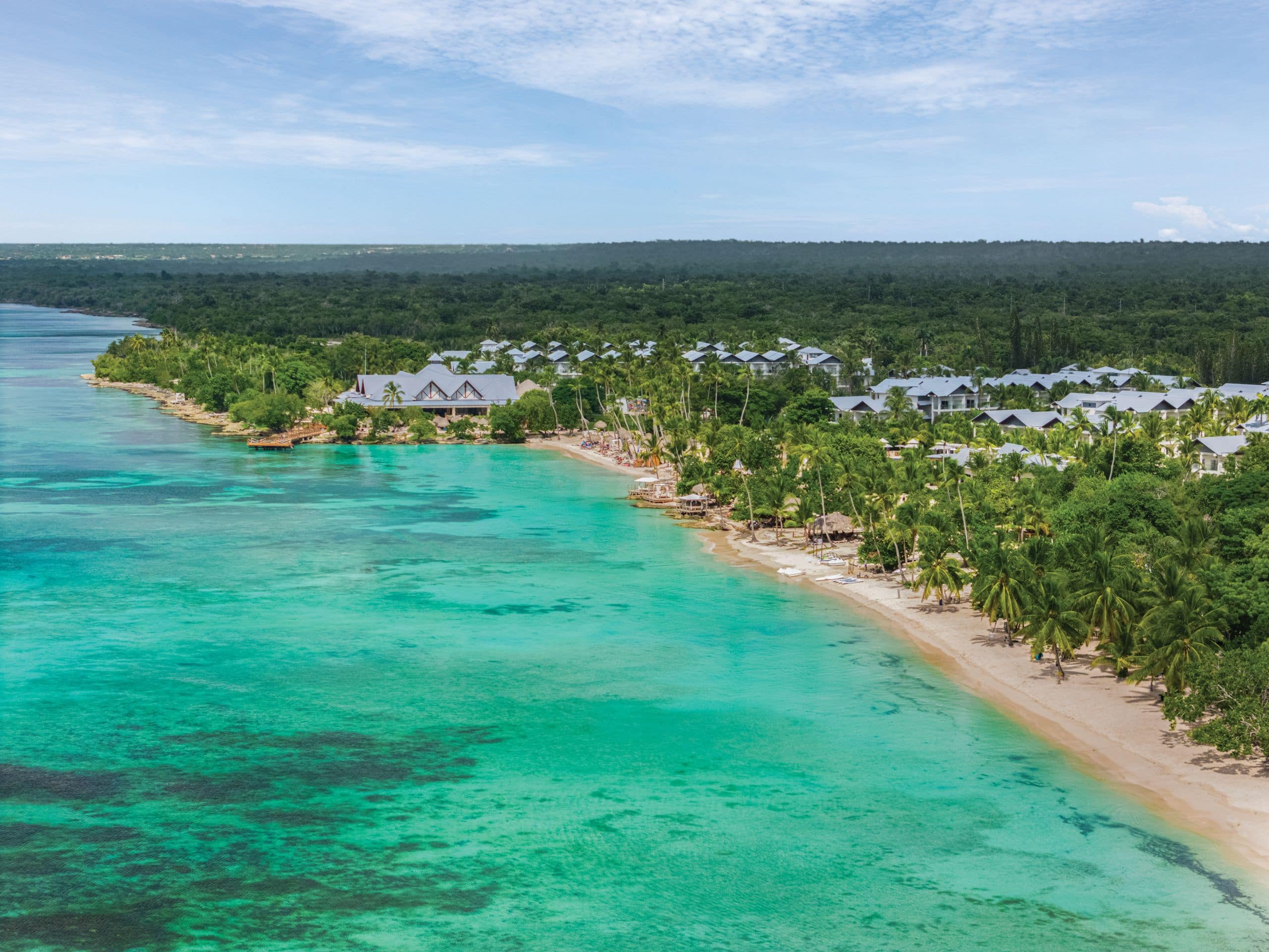 Dreams La Romana 1 Tropical beach with palm trees and turquoise water.